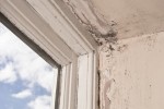 West Palm Beach Mold Prevention
